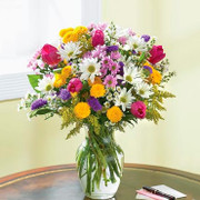 Shine in Flowers, Canada, Canada