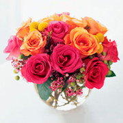 Delicate Roses, Canada, Canada