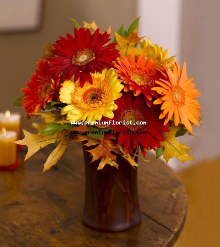 Colores y Gerberas en Canada, Canada | Florerias Canada | Top Canada Florist