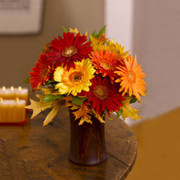 Seasonal Gerberas, Canada, Canada
