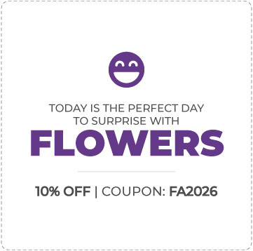 Offer in Canada