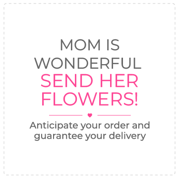 Offer in Canada
